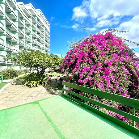 One Bedroom With Wifi, Pool, Close To The * 푸에르토 드 라 크루즈